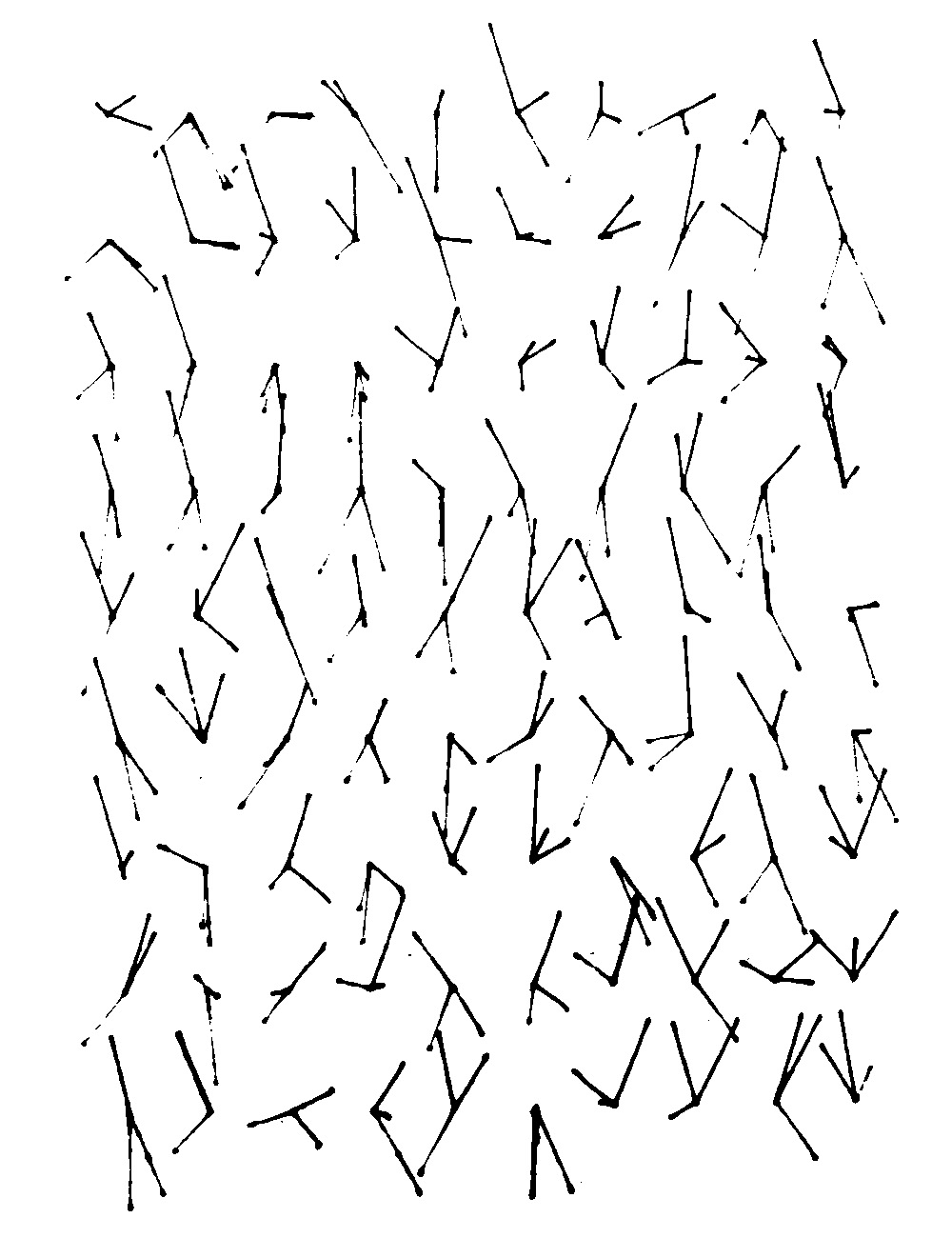 Image of clay tablet found at Briennenord