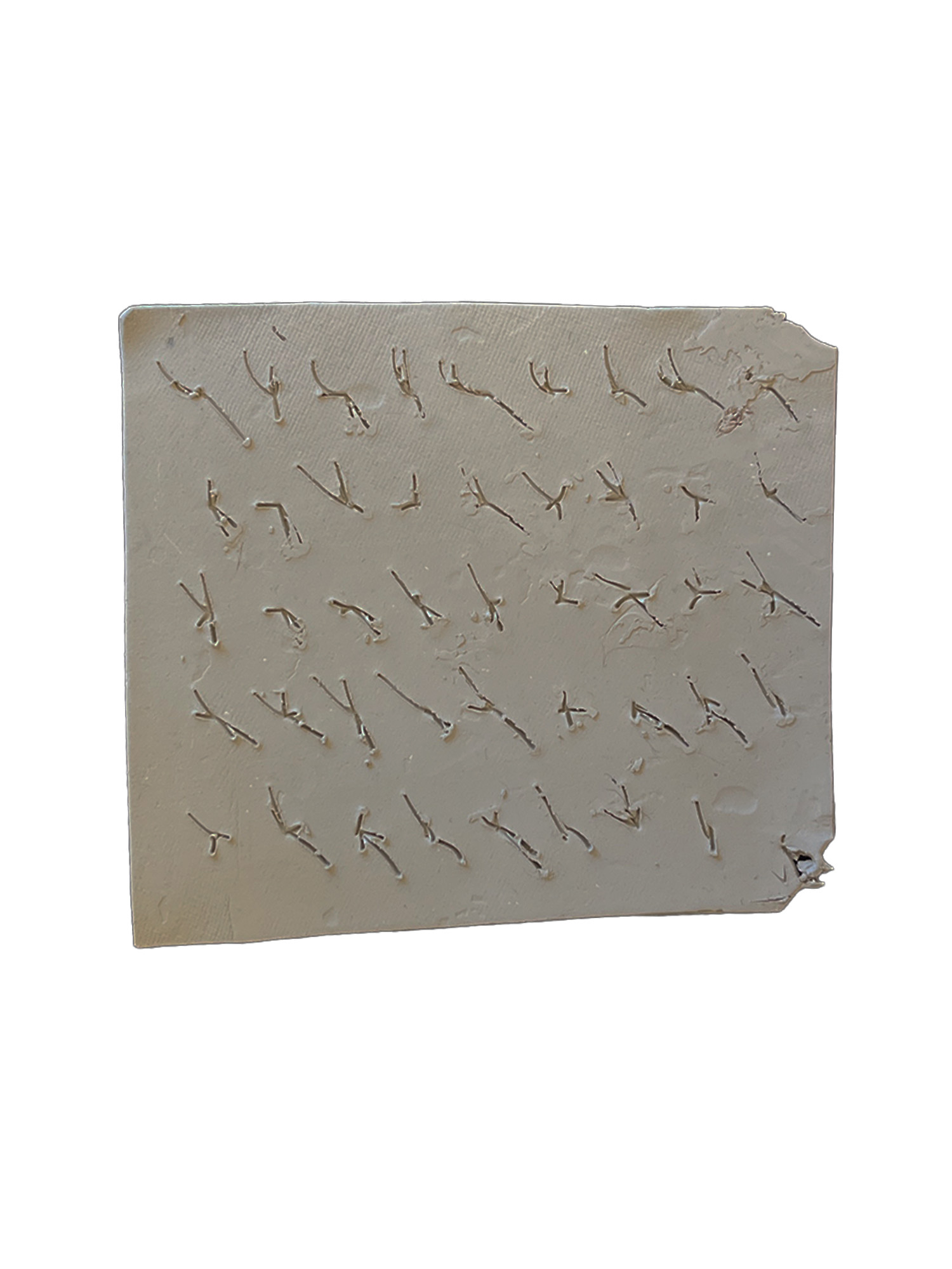 another clay tablet from the briennord site
